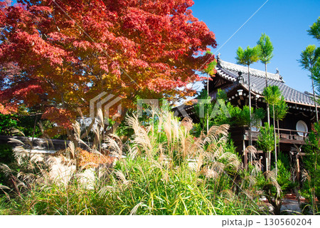 京都市 源光庵の紅葉 130560204