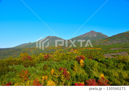 秋 十勝岳連峰 望岳台より 秋 十勝岳連峰 望岳台より 130560271