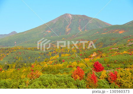 秋　十勝岳連峰　望岳台より 130560373