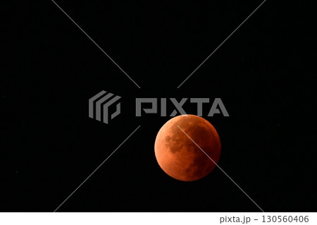 皆既月食 130560406