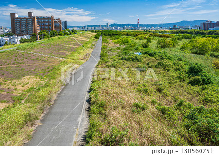 菅原城北大橋から望む淀川右岸上流側の風景　大阪市 130560751
