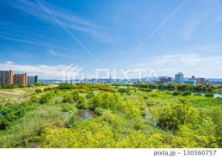 菅原城北大橋から望む淀川右岸上流側の風景 大阪市 菅原城北大橋から望む淀川右岸上流側の風景 大阪市 130560757