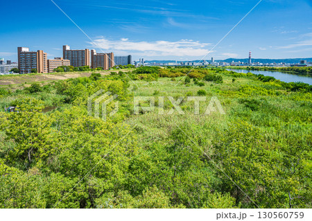 菅原城北大橋から望む淀川右岸上流側の風景 大阪市 菅原城北大橋から望む淀川右岸上流側の風景 大阪市 130560759