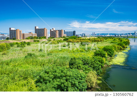 菅原城北大橋から望む淀川右岸上流側の風景　大阪市 130560762
