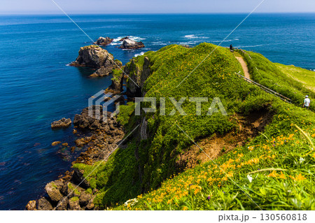 【北海道_厚岸郡_霧多布岬】切り立つ断崖と岩礁が連なるダイナミックな風景が魅力 【北海道_厚岸郡_霧多布岬】切り立つ断崖と岩礁が連なるダイナミックな風景が魅力 130560818