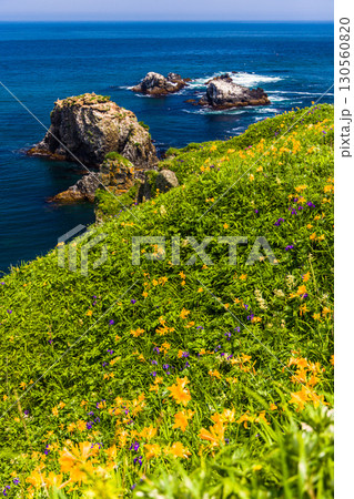 【北海道_厚岸郡_霧多布岬】切り立つ断崖と岩礁が連なるダイナミックな風景が魅力 130560820