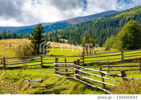 mountainous rural landscape of ukraine in autumn. wooden fence near the path through grassy meadow on the hillside. scenery with fir forest on the mountains on a sunny day under blue sky with clouds mountainous rural landscape of ukraine in autumn. wooden fence near the path through grassy meadow on the hillside. scenery with fir forest on the mountains on a sunny day under blue sky with clouds 130560843