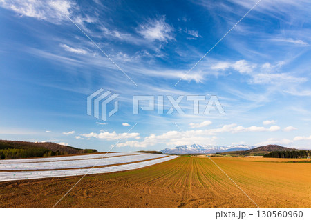 富良野 麓郷の春景色と広がる田園風景 富良野 麓郷の春景色と広がる田園風景 130560960