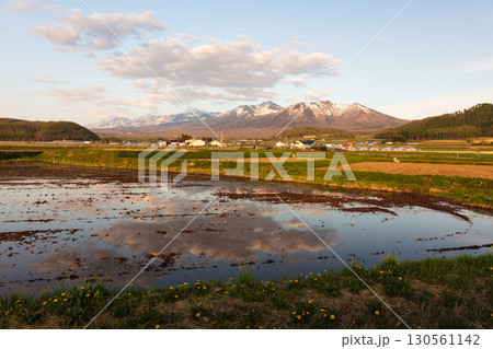 春の富良野畑と夕暮れの農村風景 春の富良野畑と夕暮れの農村風景 130561142