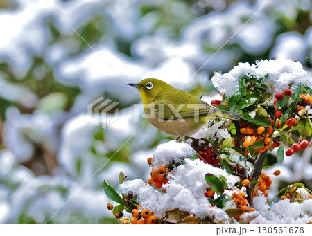 　暑さ対策に雪の日の思い出。 130561678