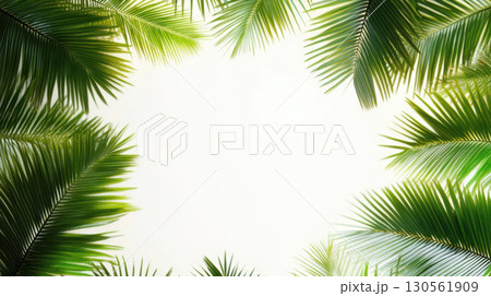view palm frame background patterns texture closeup green view palm frame background patterns texture closeup green 130561909