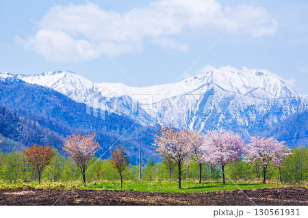 中札内の春景色と満開の桜 130561931