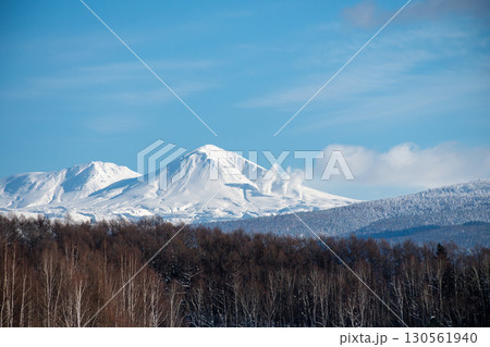 冬の晴れた日の雑木林と雪山　大雪山 130561940