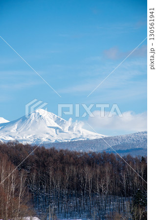 冬の晴れた日の雑木林と雪山　大雪山 130561941