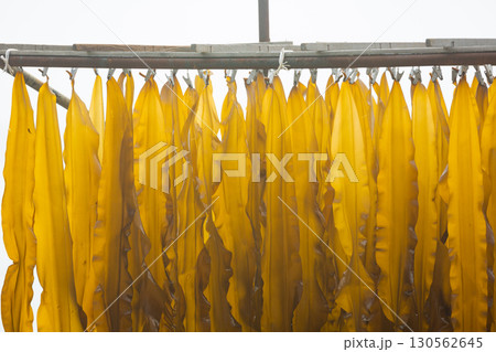 昆布干し風景 130562645