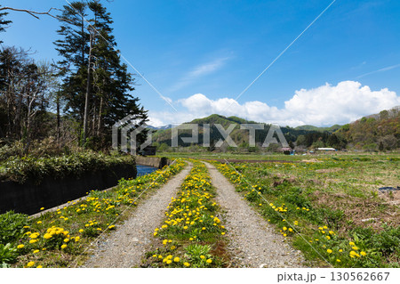道南の春景色と桜咲く農村風景 130562667