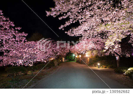 松前城と満開の桜の絶景 松前城と満開の桜の絶景 130562682