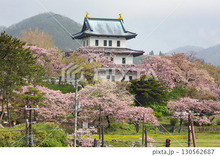 松前城と満開の桜の絶景 130562687