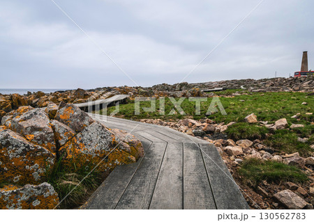 Rocky seashore. Stones covered with yellow and green moss and cloudy sky. 130562783