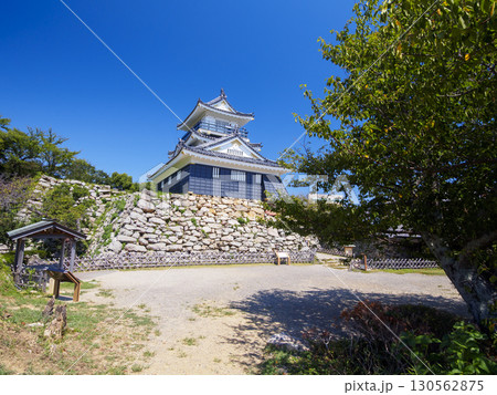 浜松城址公園の夏 130562875