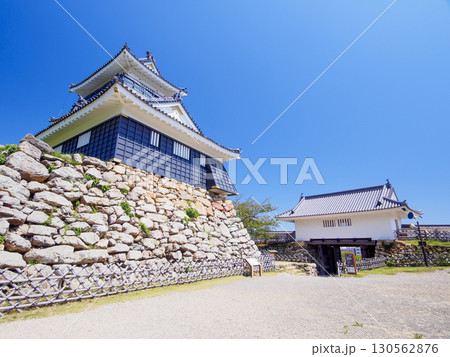 浜松城址公園の夏 130562876