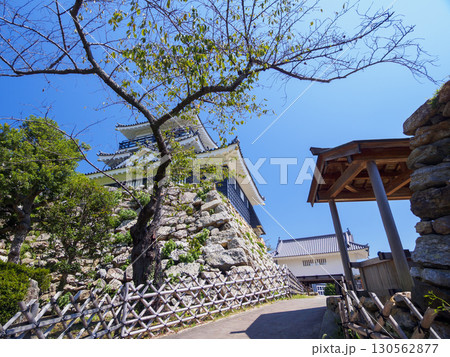 浜松城址公園の夏 浜松城址公園の夏 130562877