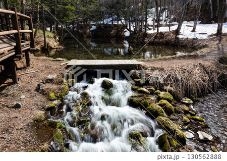 神秘的な青さをたたえる神の子池 神秘的な青さをたたえる神の子池 130562888