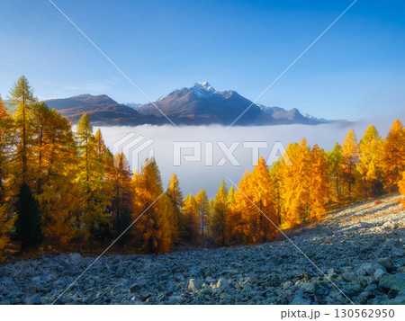 Autumn landscape in the Switzerland. Sunrise in the mountains. Fog and fall forest. 130562950