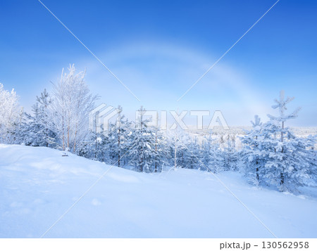 Winter landscape and frozen rainbow. Trees covered with snow. Lapland, Finland. Winter landscape and frozen rainbow. Trees covered with snow. Lapland, Finland. 130562958