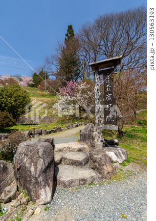 250421信濃比叡廣拯院 250421信濃比叡廣拯院 130563193