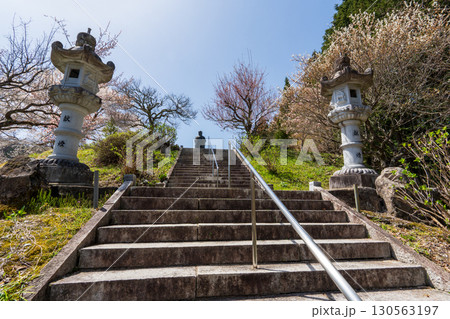 250421信濃比叡廣拯院 250421信濃比叡廣拯院 130563197