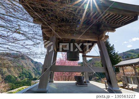 250421信濃比叡廣拯院 250421信濃比叡廣拯院 130563227