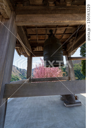 250421信濃比叡廣拯院 250421信濃比叡廣拯院 130563229