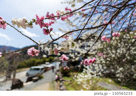 250421信濃比叡廣拯院 130563233