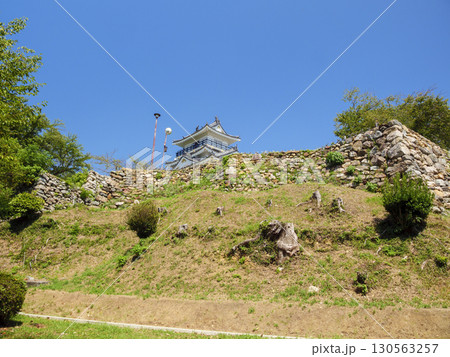 浜松城址公園の夏 130563257
