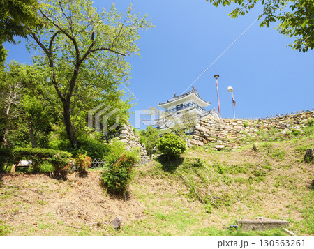 浜松城址公園の夏 浜松城址公園の夏 130563261