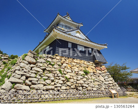 浜松城址公園の夏 130563264