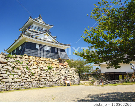 浜松城址公園の夏 130563266