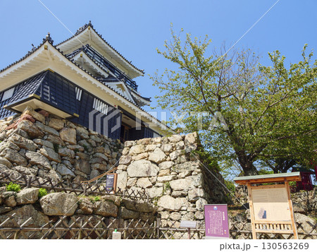 浜松城址公園の夏 130563269