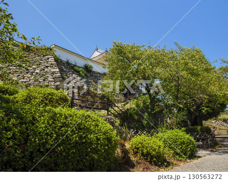 浜松城址公園の夏 130563272