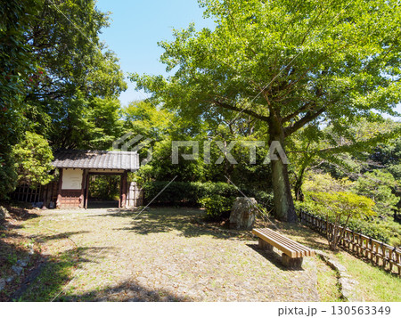 浜松城址公園の日本庭園の夏 130563349