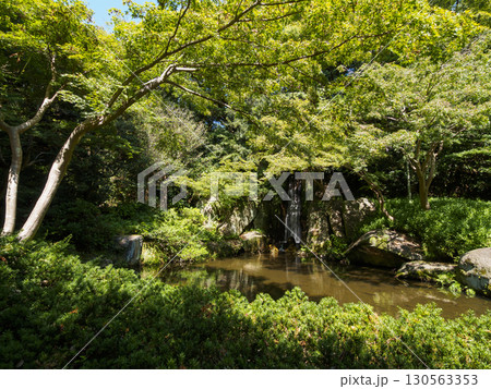 浜松城址公園の日本庭園の夏 浜松城址公園の日本庭園の夏 130563353