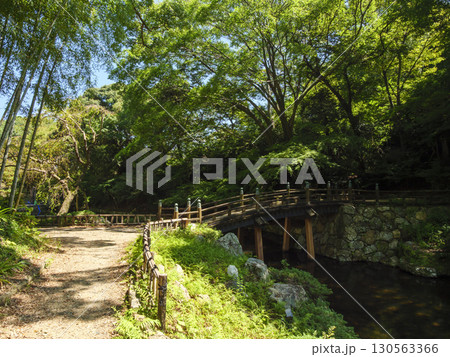 浜松城址公園の日本庭園の夏 浜松城址公園の日本庭園の夏 130563366