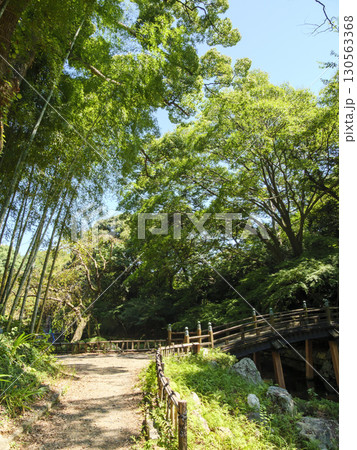 浜松城址公園の日本庭園の夏 浜松城址公園の日本庭園の夏 130563368