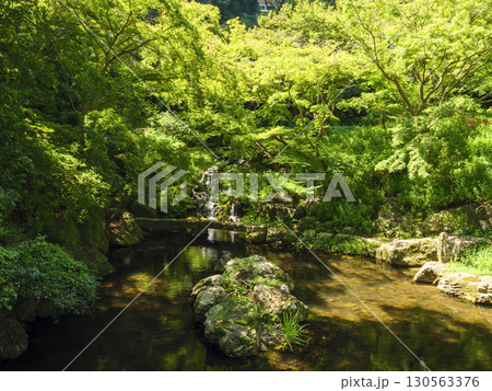 浜松城址公園の日本庭園の夏 浜松城址公園の日本庭園の夏 130563376