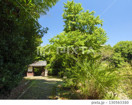 浜松城址公園の日本庭園の夏 130563380