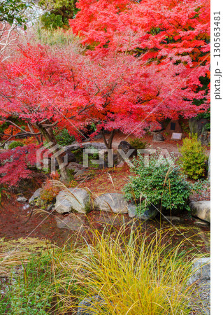 京都　渉成園　印月池と丹楓渓 130563481