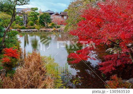 京都　渉成園　印月池の紅葉 130563510
