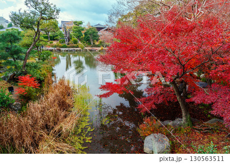 京都　渉成園　印月池の紅葉 130563511