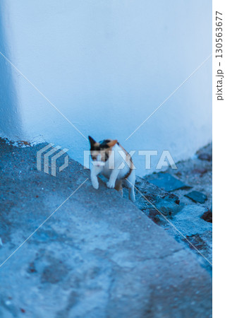 ギリシャのサントリーニ島の朝 ギリシャのサントリーニ島の朝 130563677